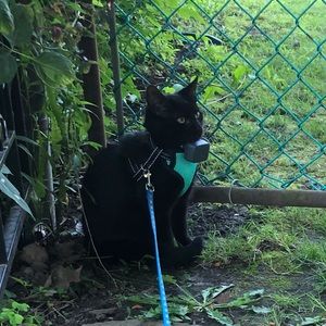 Meet your Posher, Tessa